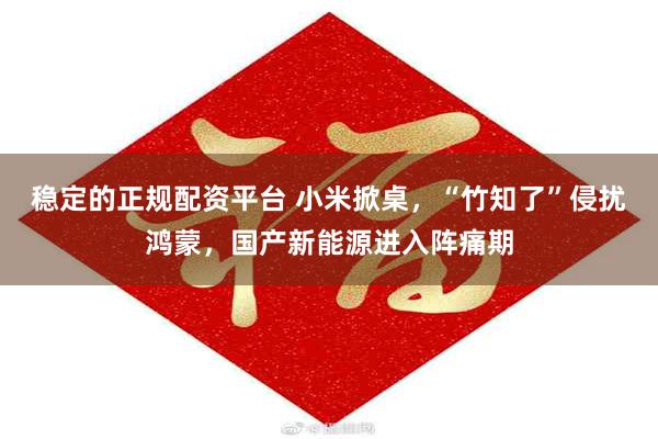 稳定的正规配资平台 小米掀桌，“竹知了”侵扰鸿蒙，国产新能源进入阵痛期