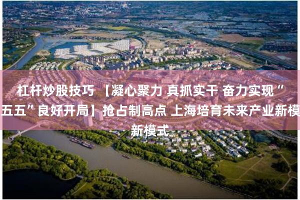 杠杆炒股技巧 【凝心聚力 真抓实干 奋力实现“十五五”良好开局】抢占制高点 上海培育未来产业新模式