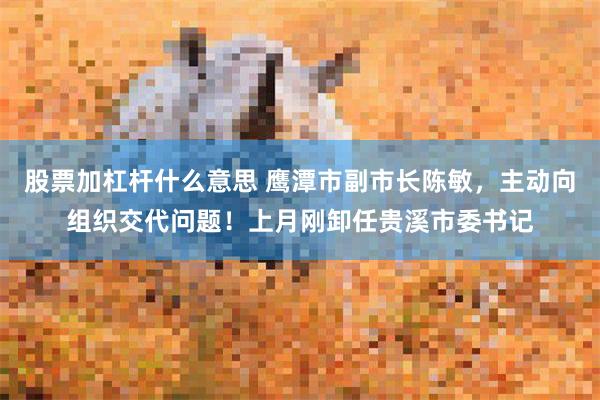 股票加杠杆什么意思 鹰潭市副市长陈敏，主动向组织交代问题！上月刚卸任贵溪市委书记