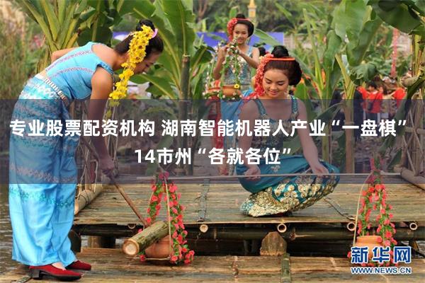 专业股票配资机构 湖南智能机器人产业“一盘棋” 14市州“各就各位”