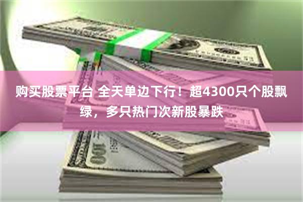 购买股票平台 全天单边下行！超4300只个股飘绿，多只热门次新股暴跌