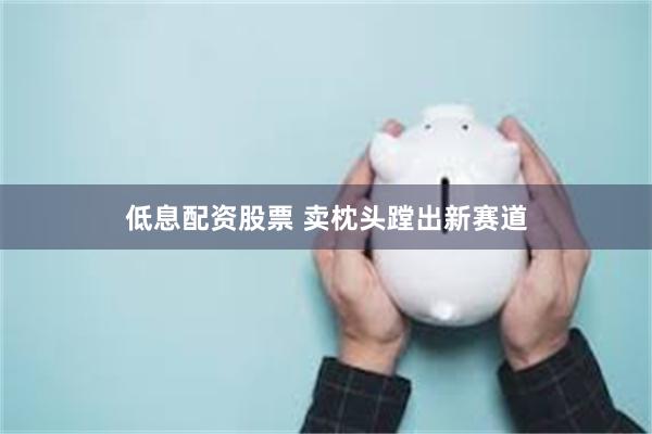 低息配资股票 卖枕头蹚出新赛道