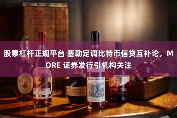 股票杠杆正规平台 塞勒定调比特币信贷互补论，MORE 证券发行引机构关注