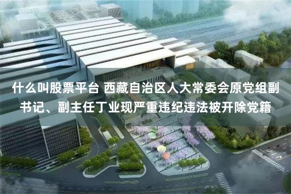 什么叫股票平台 西藏自治区人大常委会原党组副书记、副主任丁业现严重违纪违法被开除党籍